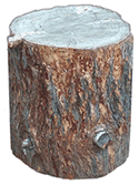 Tree Stump