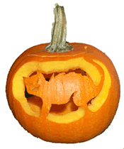 Cat Pumpkin