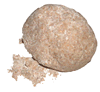 Dough