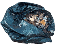 Bag of Leaves