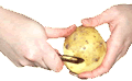 Peeling Potato